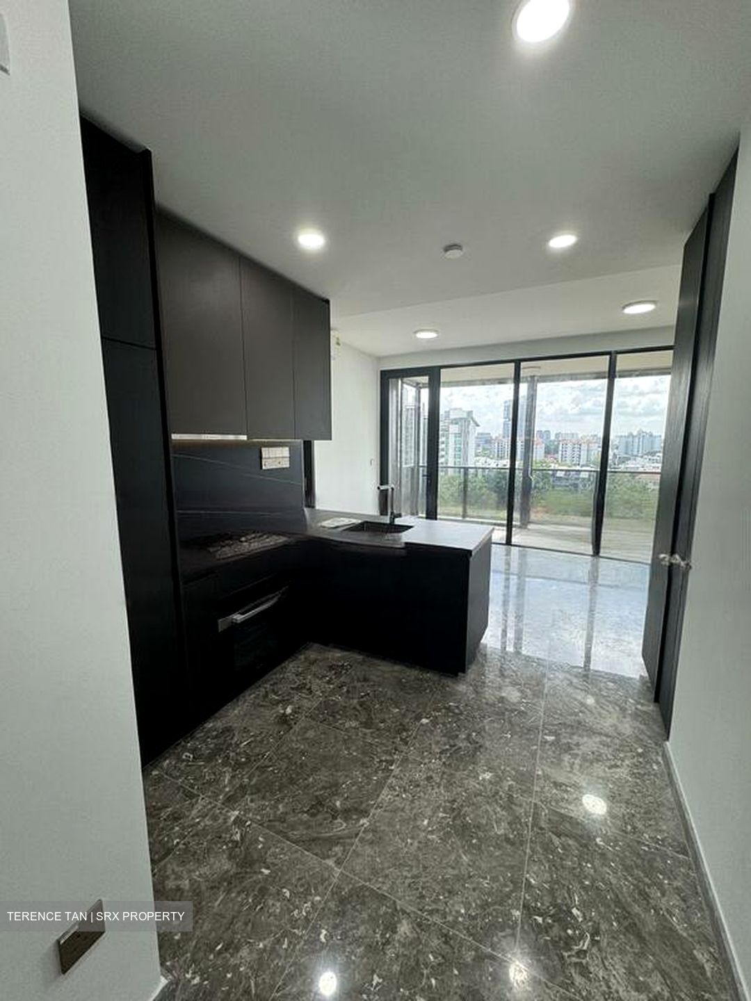 Hyll On Holland (D10), Condominium #468352891